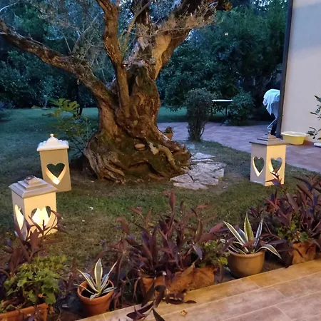 Lejlighed A Casa Di Jolanda