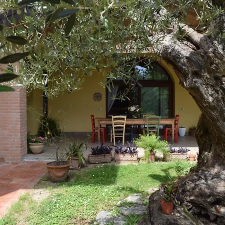 A Casa Di Jolanda * Mestre