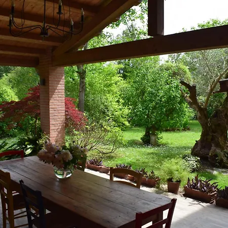 A Casa Di Jolanda, Indipendent House Near Historic Venice Center With Private Parking And Wide And Fenced Garden Lägenhet Mestre