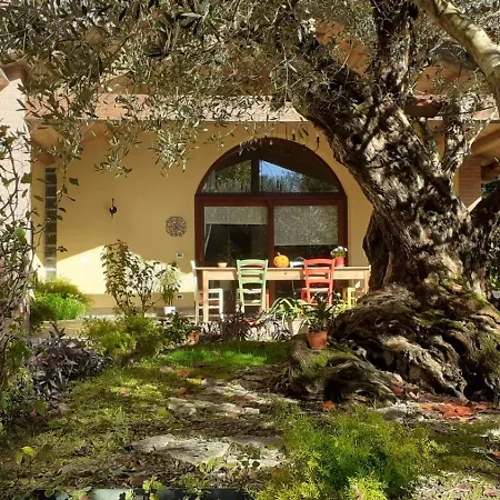 A Casa Di Jolanda, Indipendent House Near Historic Venice Center With Private Parking And Wide And Fenced Garden Lägenhet *