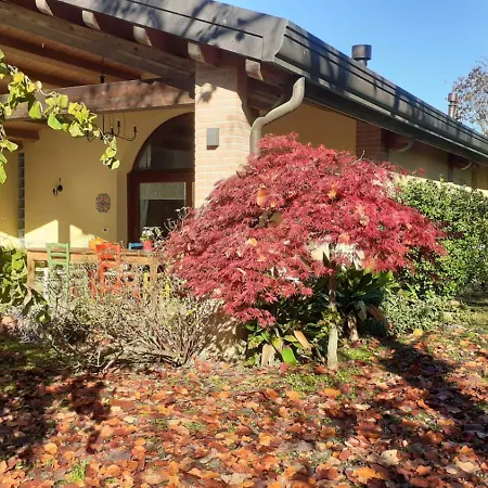 A Casa Di Jolanda, Indipendent House Near Historic Venice Center With Private Parking And Wide And Fenced Garden Lägenhet *