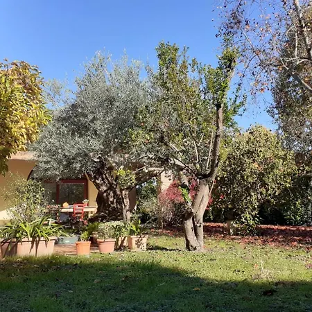 A Casa Di Jolanda, Indipendent House Near Historic Venice Center With Private Parking And Wide And Fenced Garden Lägenhet